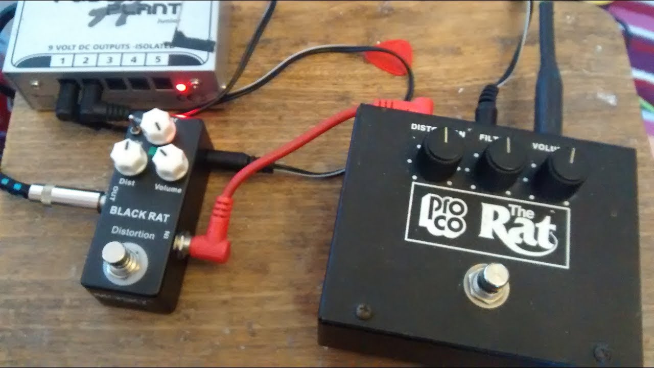 Mosky Black Rat vs Proco Rat (from the 90s)