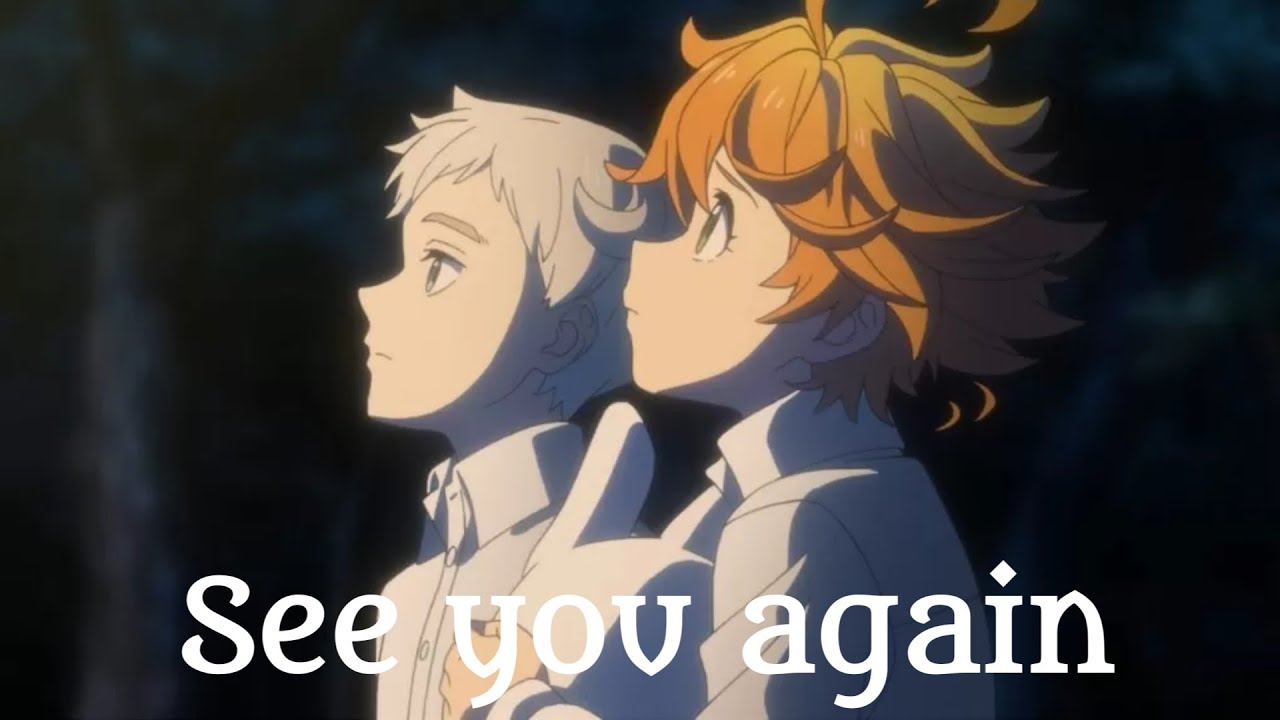 The promised Neverland (See You Again) AMV