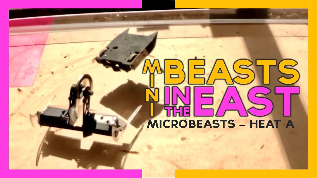 MiniBeasts In The East: MicroBeasts HEAT A