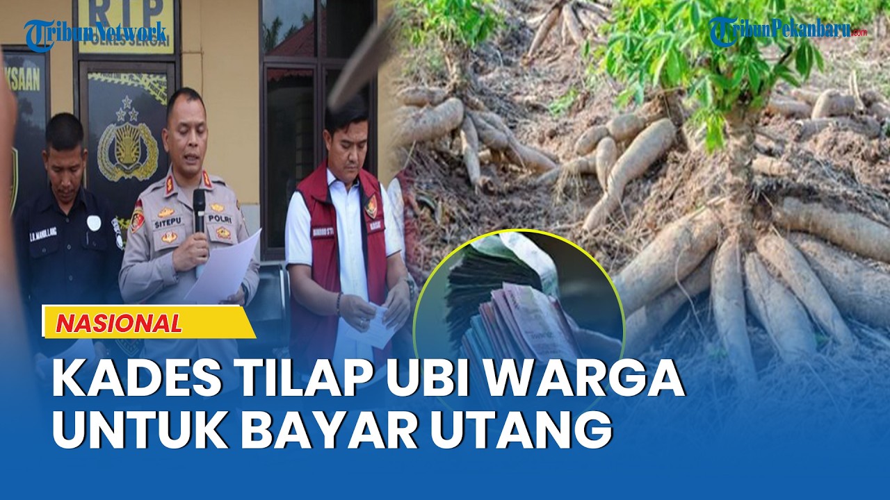 Kelakuan Kades Ini Bikin Geleng Kepala, Nekat Curi Hasil Panen Warga untuk Bayar Utang