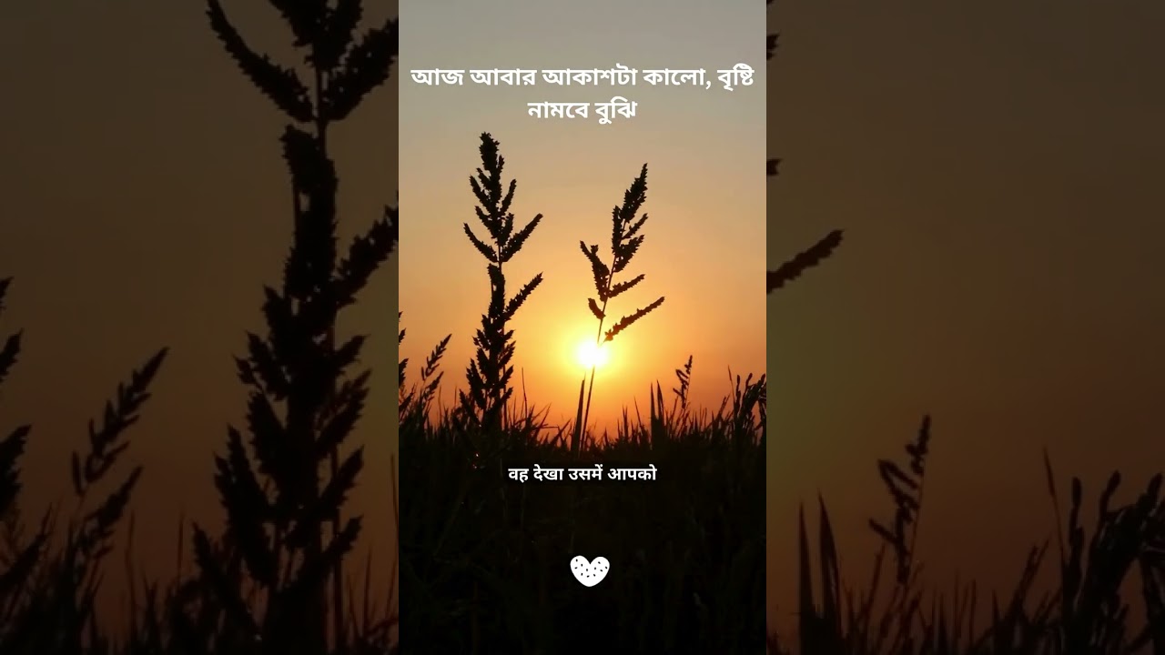 আজ আবার আকাশটা কালো, বৃষ্টি নামবে বুঝি