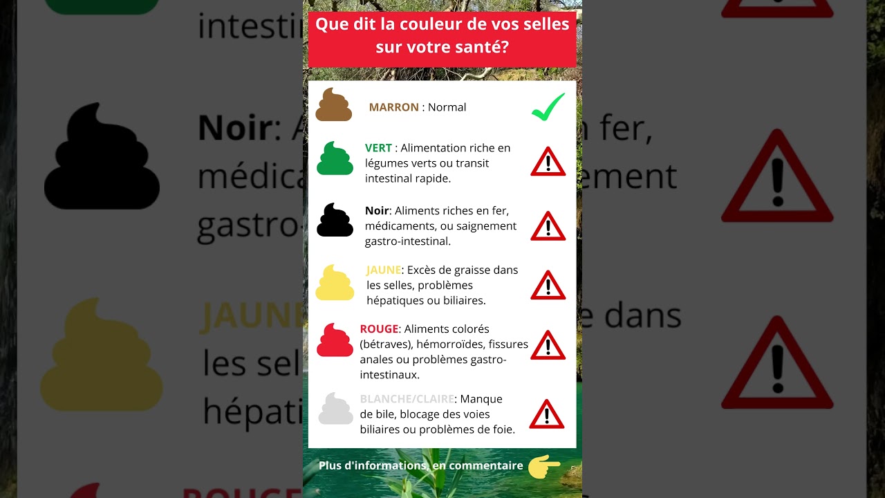 Que dit la couleur de vos selles sur votre sant&eacute;?