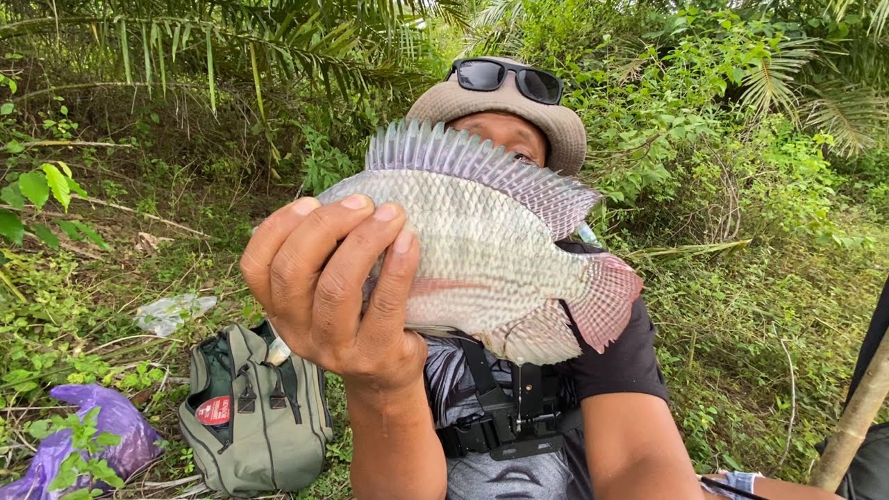 🔴Gara-Gara Balikin Kelor !! Teman Mancing Kena Ment4l