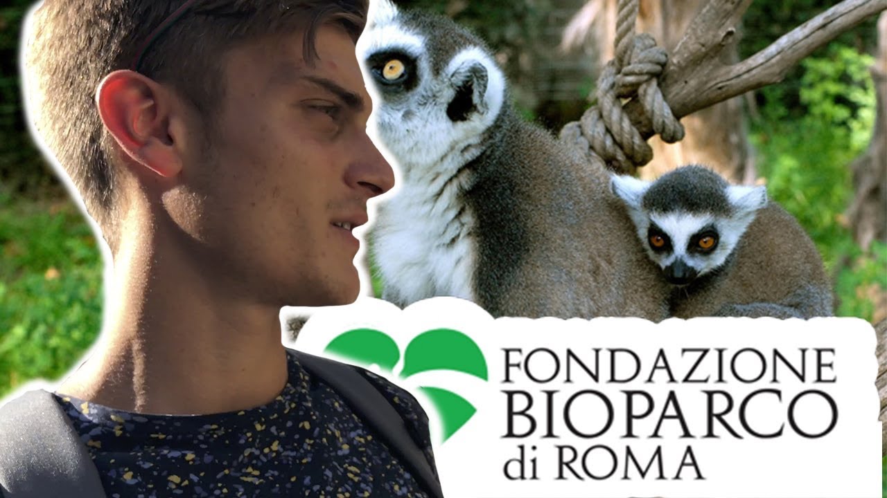 BIO PARCO DI ROMA IN 4K