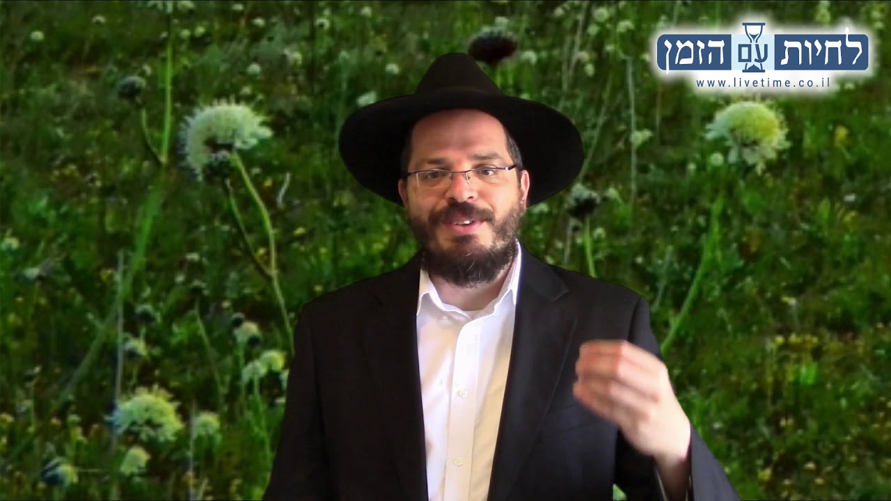 פרשת קרח באור החסידות