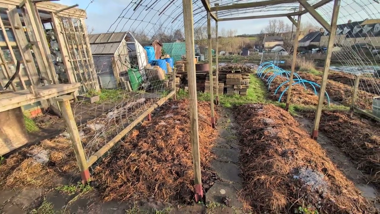 Bean and squash support arch