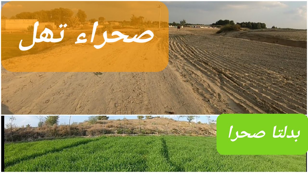 Life in Thal desert 🏜️. Episode 2- The deserts in Pakistan