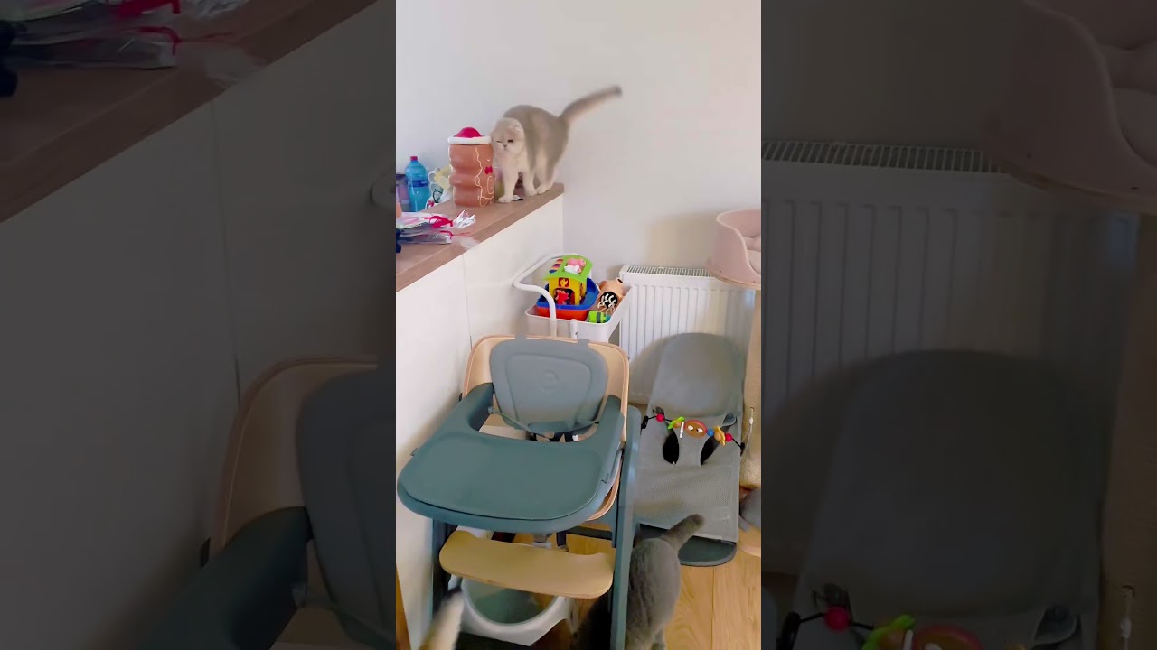 Dzień dobry czwartek 🥰🥰