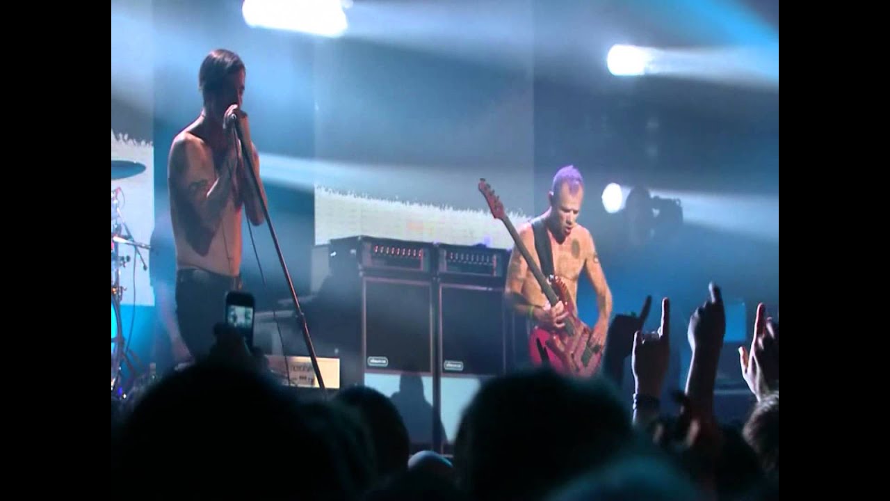 Red Hot Chili Peppers - Did I Let You Know - Live in Köln 2011 [HD]