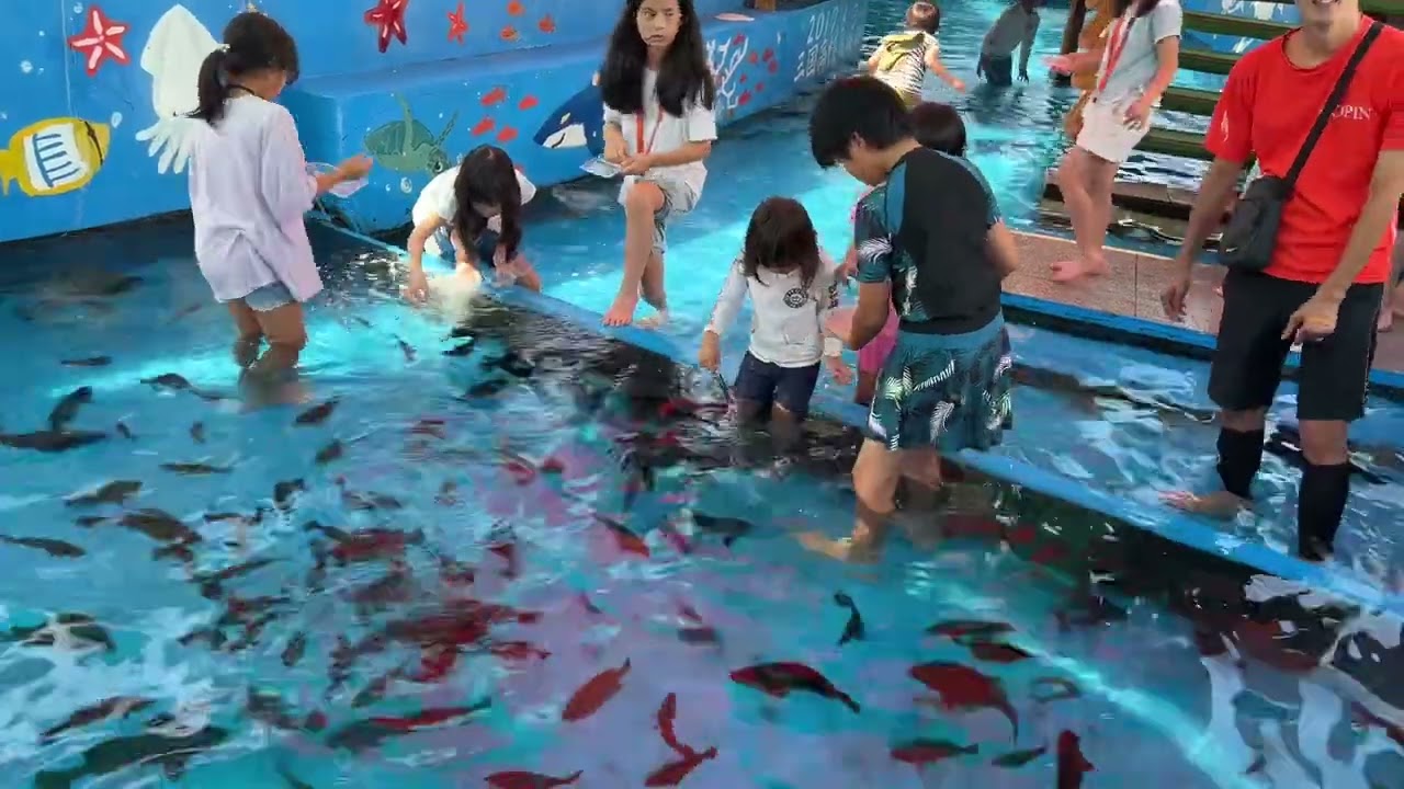 2024年9月7日越前松山水族館③
