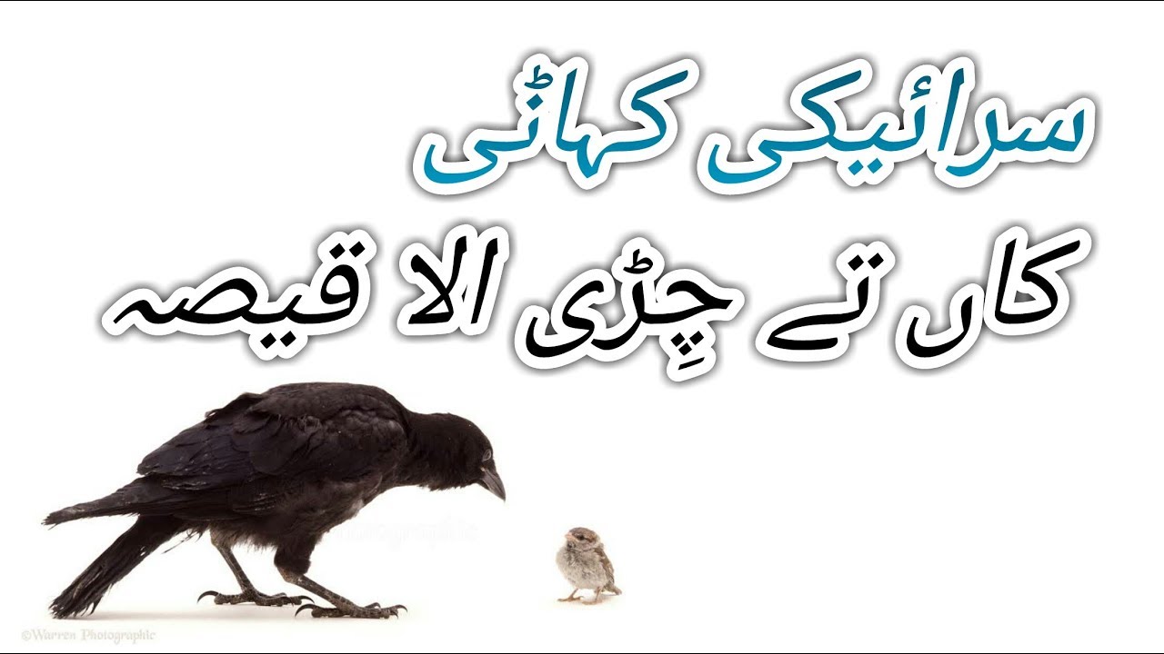 Kaan Te Cherri Aala Qissa - Saraiki Story - Saraiki Reet