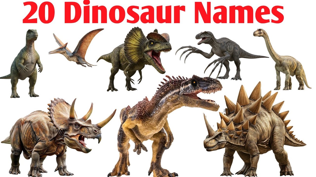 20 Dinosaur Names for Kids | डायनासोर के नाम