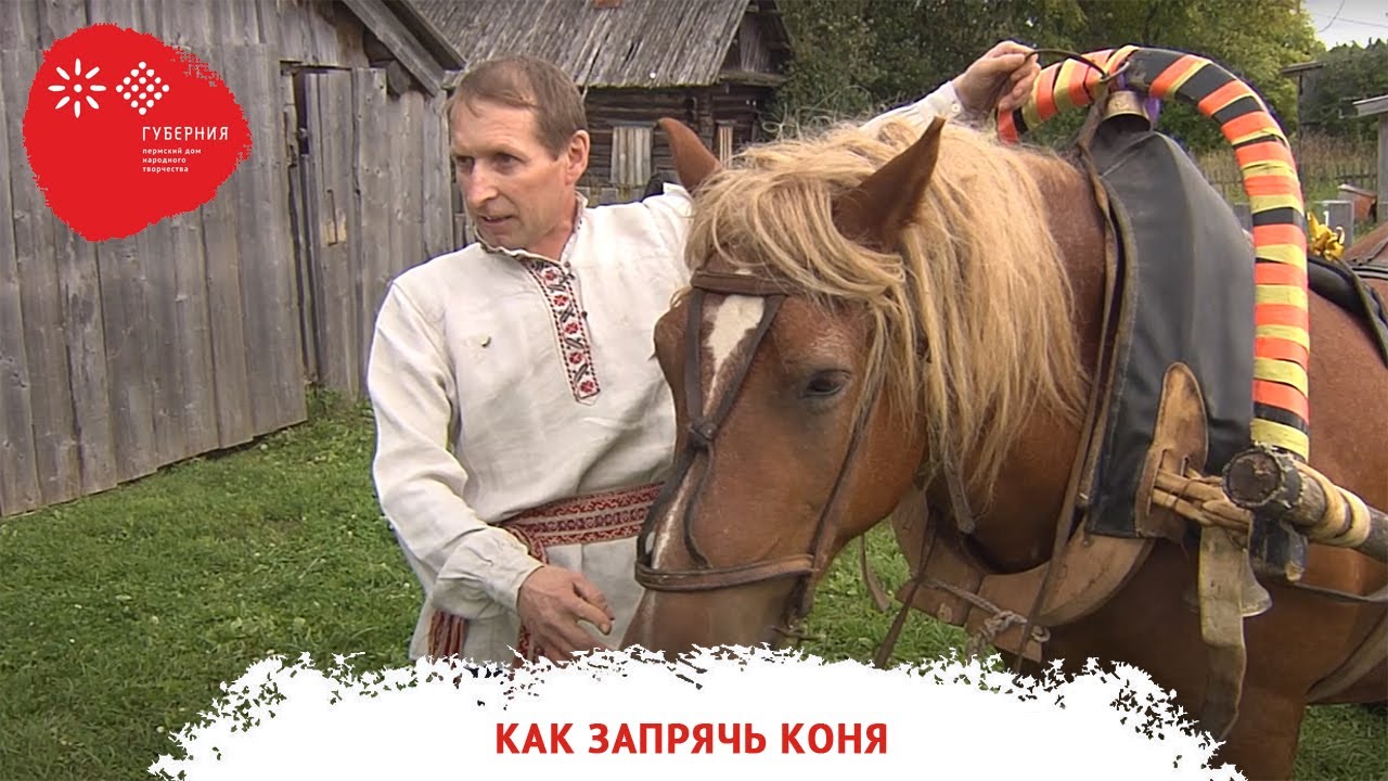 «Как запрячь коня». Документальная зарисовка
