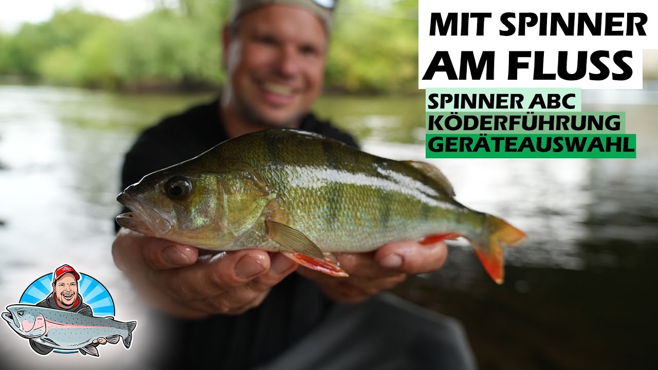 Angeln mit Spinnern im Fluss: Tipps & Tricks für mehr Barsche!