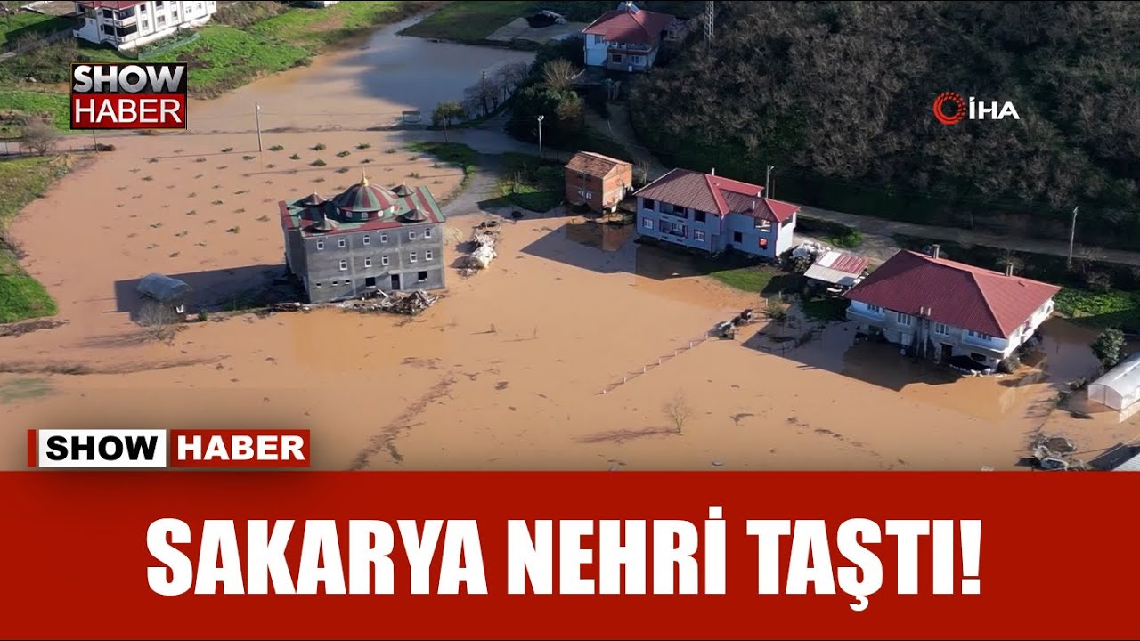 Sakarya Nehri taştı, tarım arazileri sular altında kaldı!