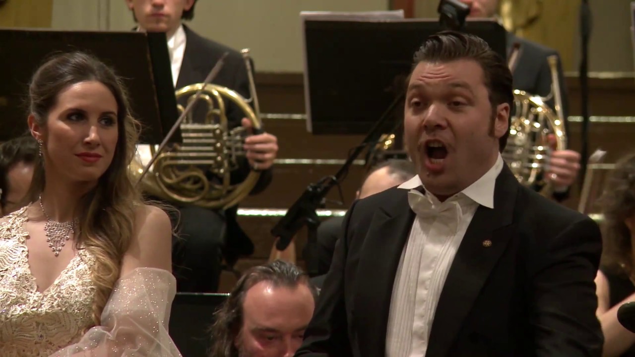 Michael Alfonsi - Musikverein (Wien) - Che gelida manina