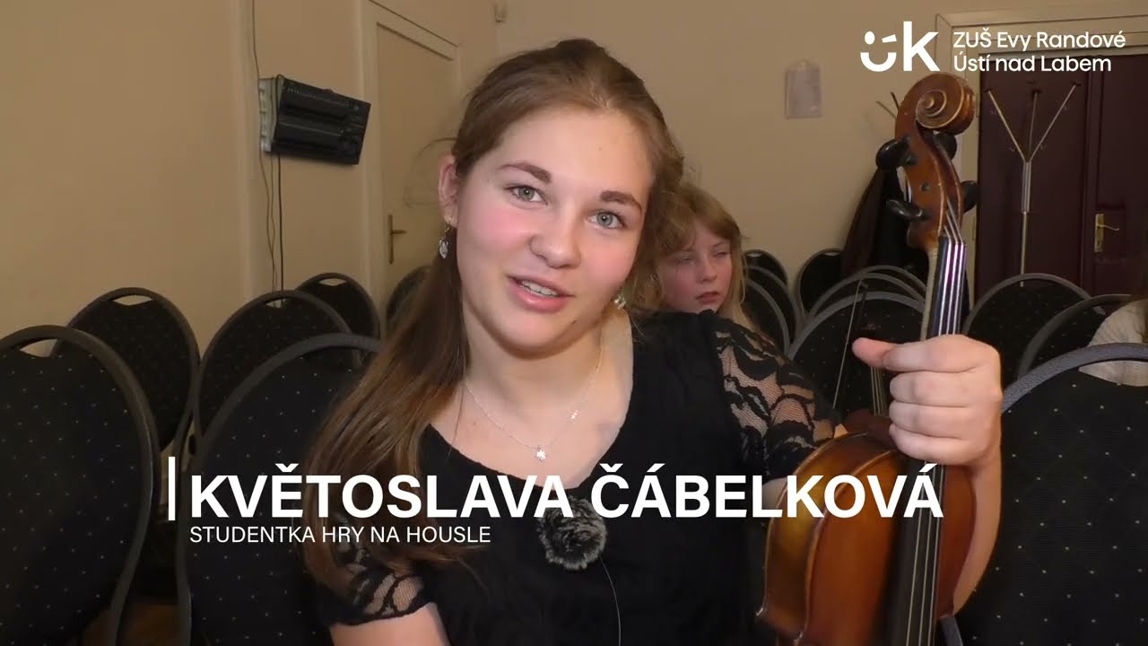Smyčcový soubor