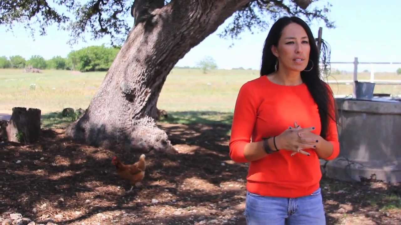 The Farmhouse - Why We Bought the House and the Outside