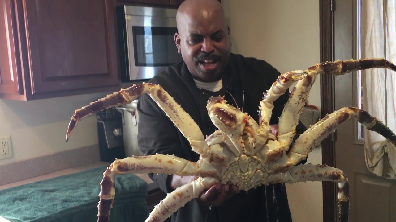 Live Alaskan King Crab In Maine