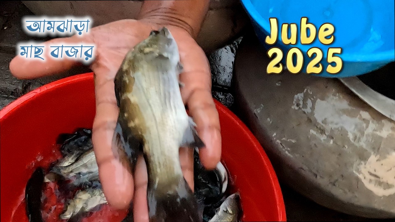 আমঝাড়া চরার মাছ বাজার জুন ২০২৫ 🐟 | ভেটকি, গলদা চিংড়ি ও লাইভ মাছ | Naihati fish Market