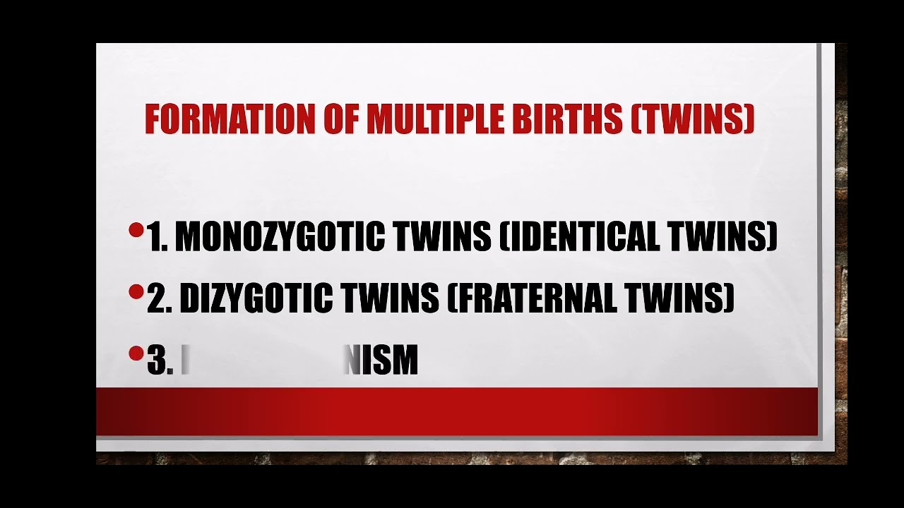 Fertilisation and formation of multiple births (twins) Grade 12 Agricultural Sciences