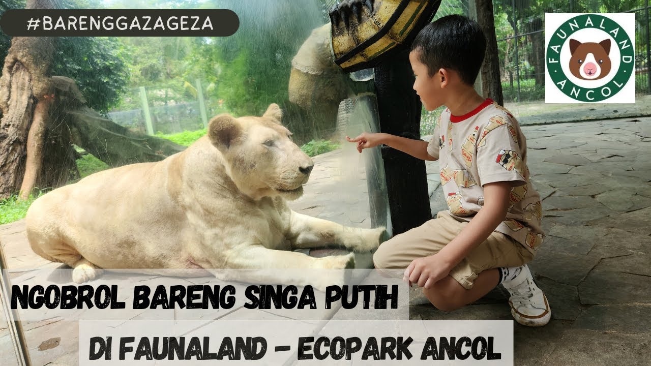FAUNALAND ANCOL | KEBUN BINATANG YANG PUNYA SATWA UNIK DAN BISA INTERAKSI LANGSUNG