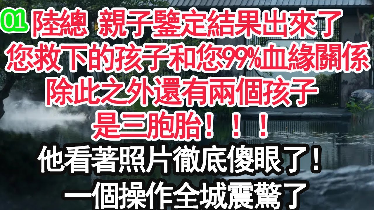 第一集  陸總 親子鑒定結果出來了，您救下的孩子和您99%血緣關係，除此之外還有兩個孩子 是三胞胎！他看著照片徹底傻眼了！一個操作全城震驚了【顧亞男】【大女主】【爽文】【婚姻自主】