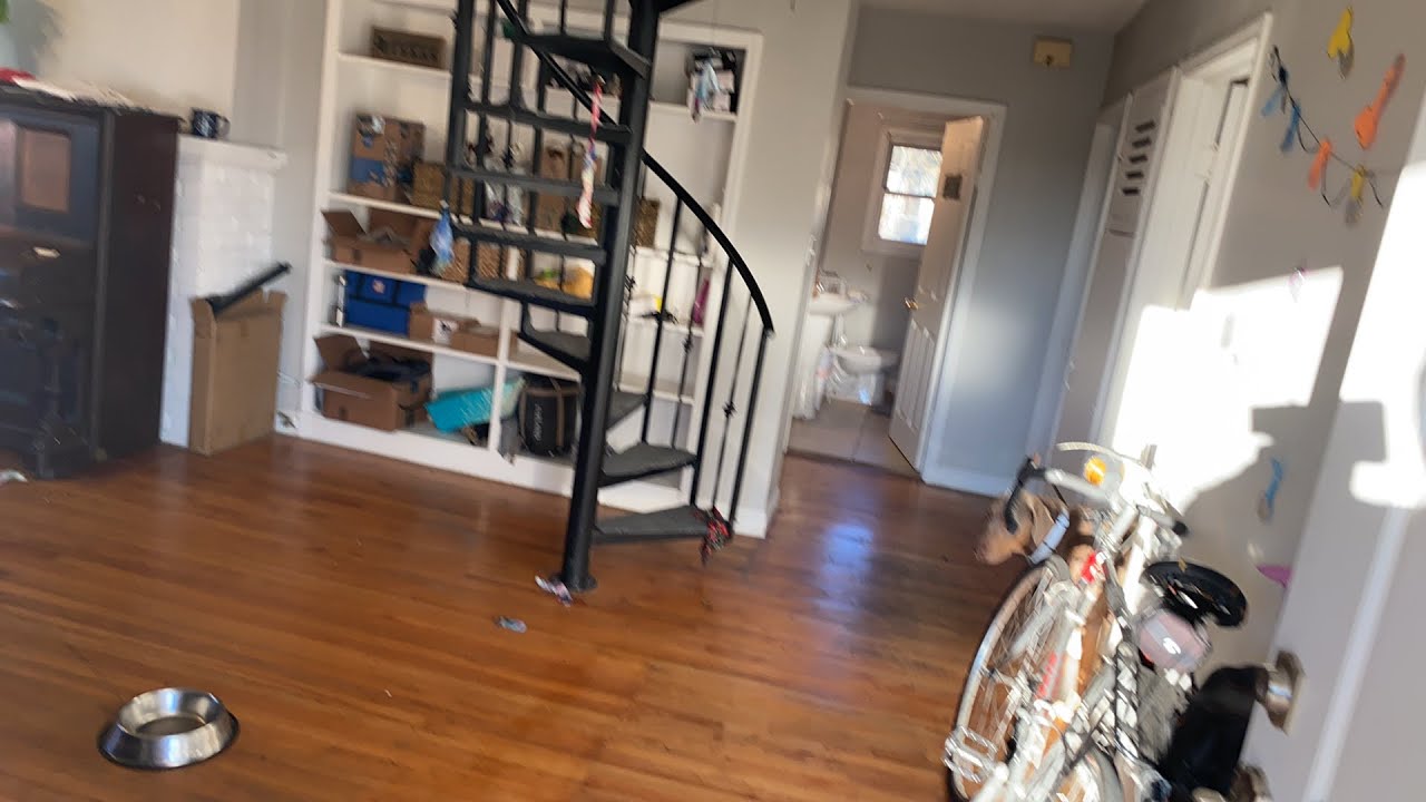 MGLS Visit - Day 1 Part 2 “The Streamhouse”