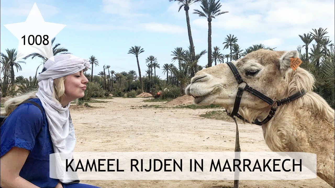 VLOG 1008 | KAMEEL RIJDEN IN MARRAKECH | Sophie Hol | (2018)