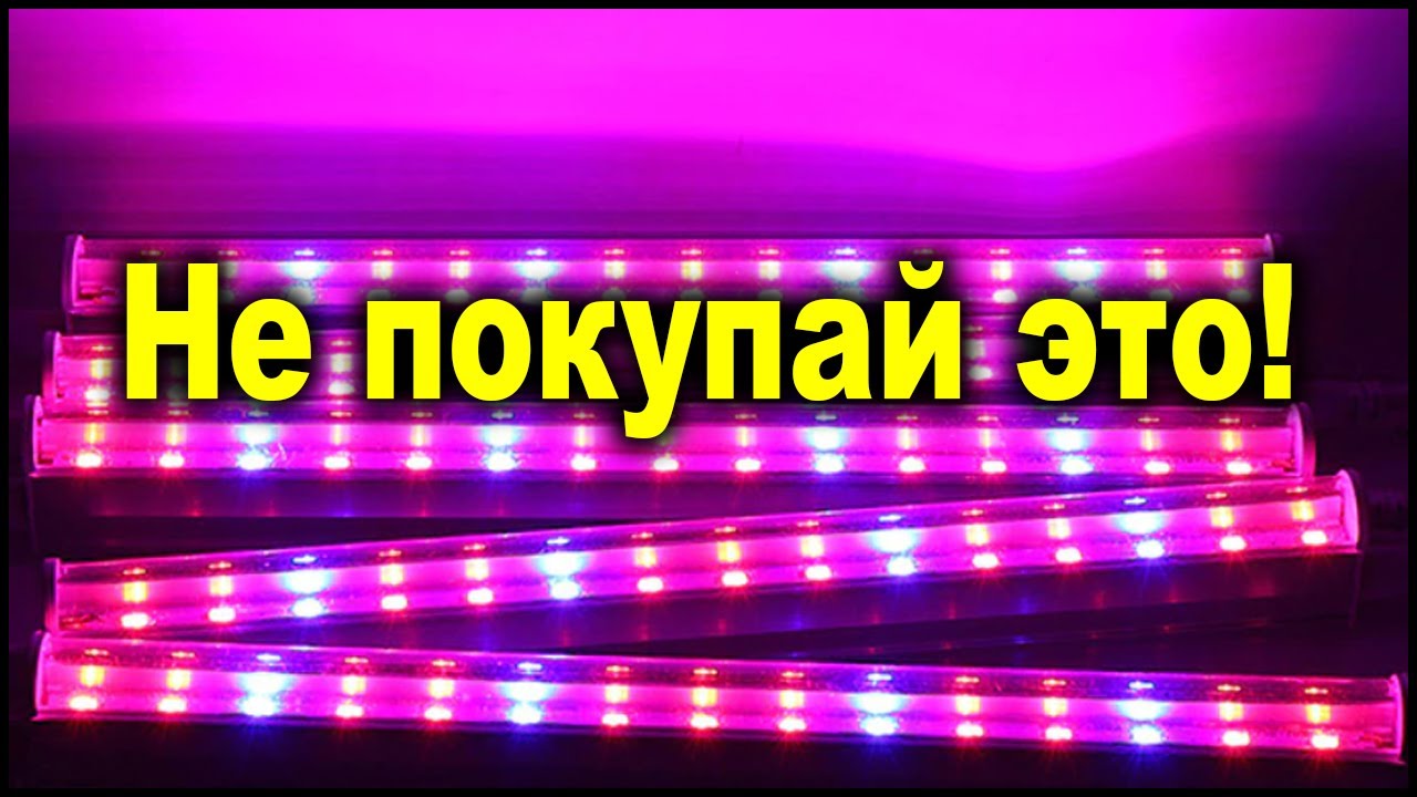 Фитолампы для растений от а до я!