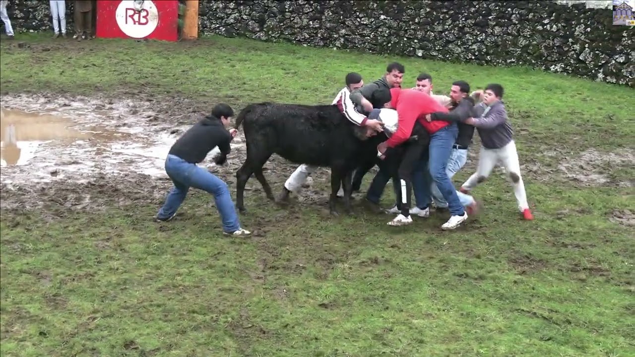 15 02 2025 A FESTA DOS ESTUDANTES