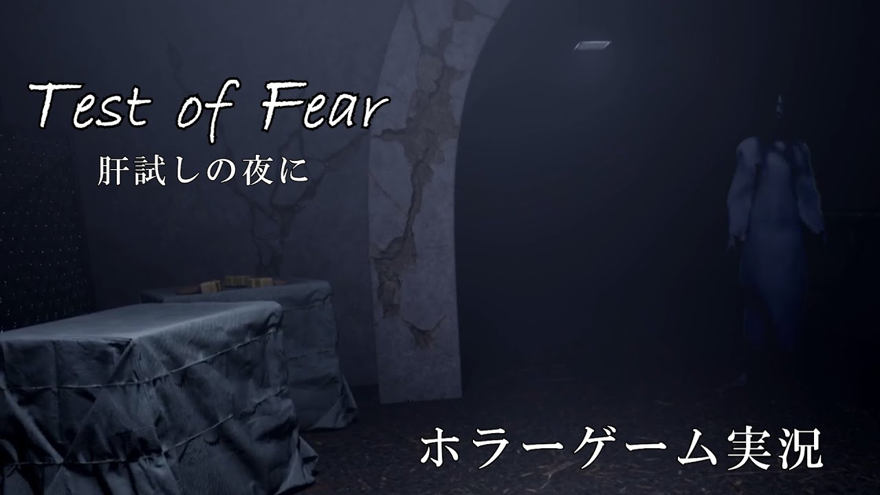 【Test of Fear】深夜、山奥の心霊トンネルへ肝試しに行くホラーゲームを実況プレイ！【肝試しの夜に】