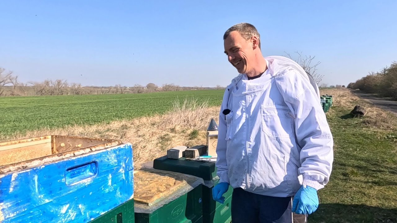 Bienen gucken, Sturmedition