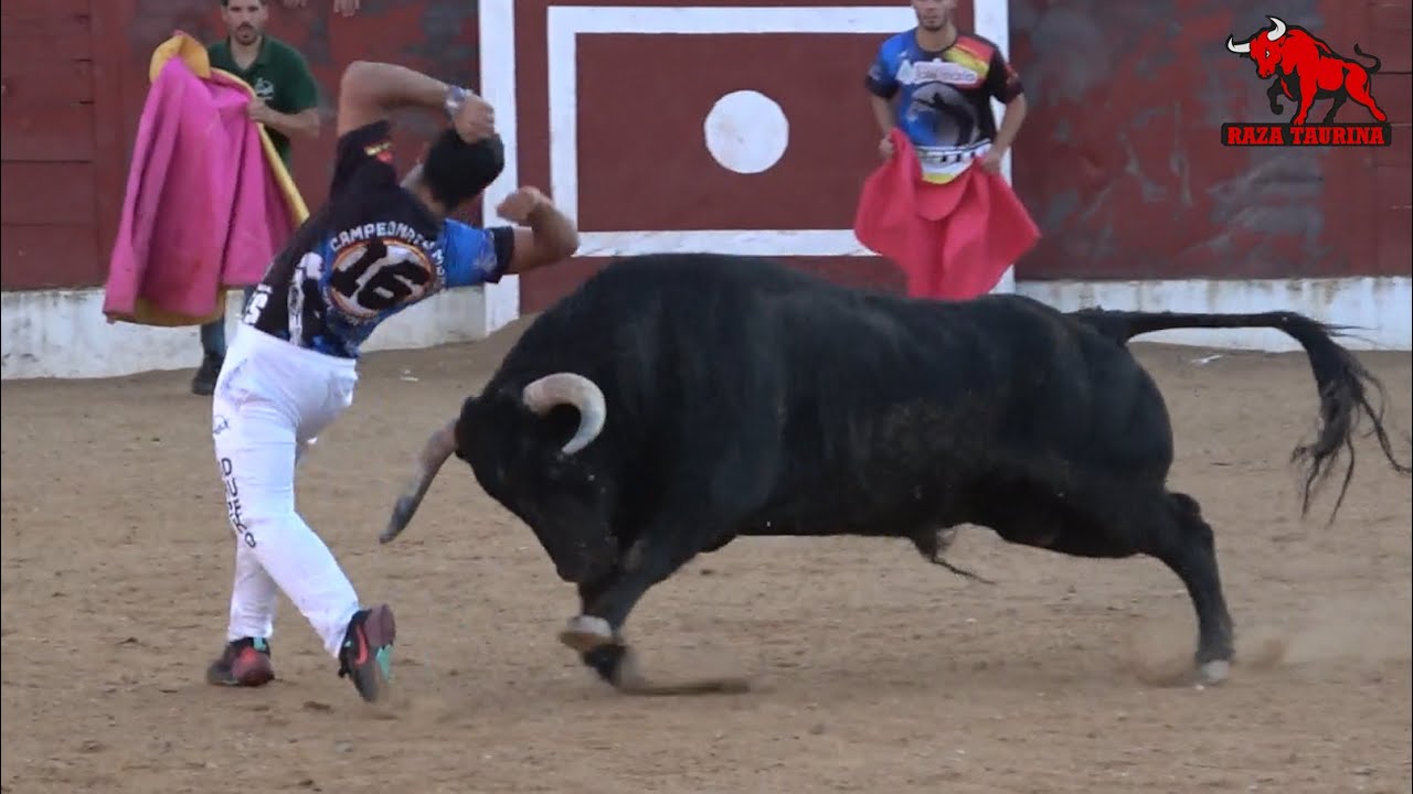 Primera semifinal Campeonato Mundial de Cortes. Fuentesaúco. 9 Julio 2023