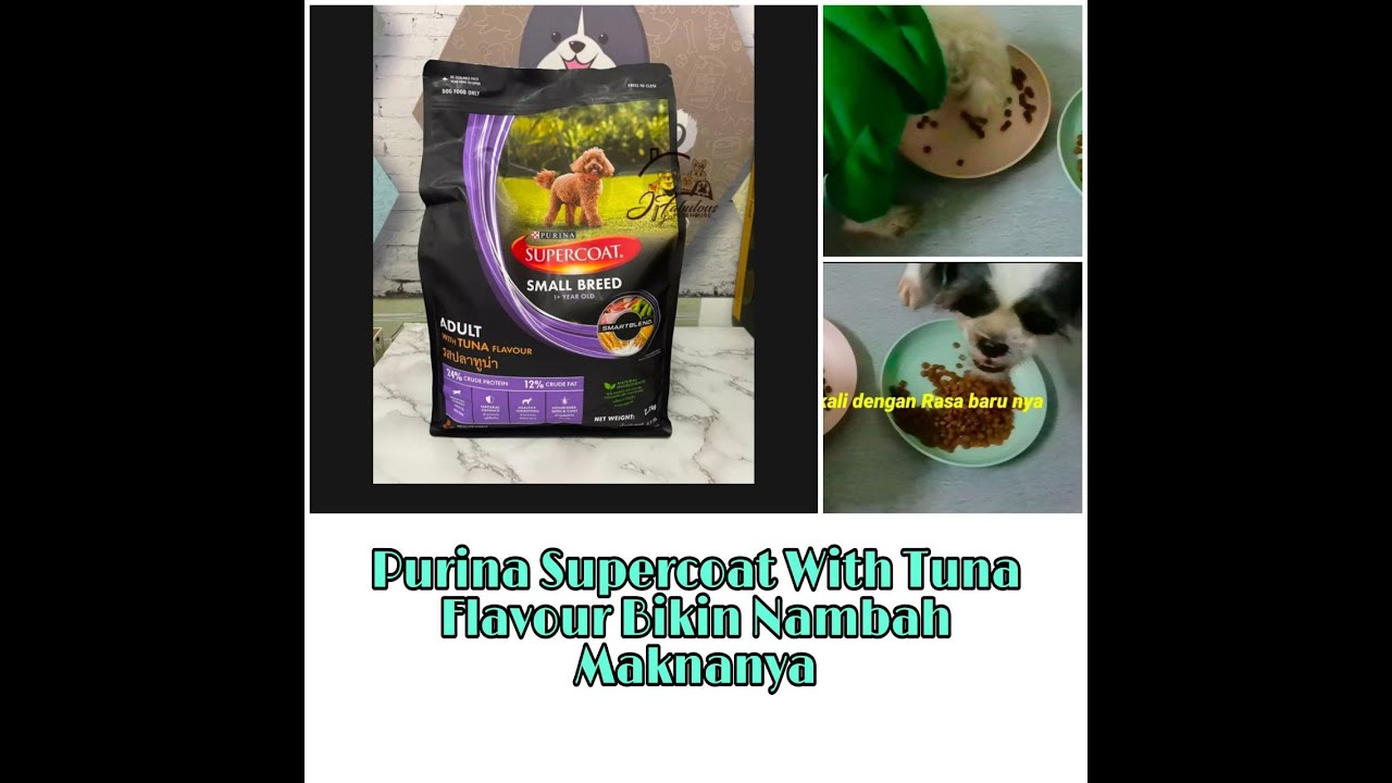 Purina Supercoat With New Flavour Tuna Taste by Lion & Angeline
