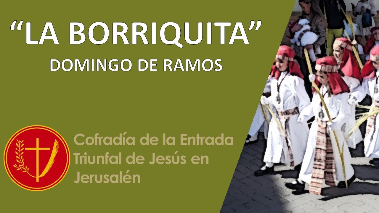 BORRIQUITA | #acofradiasbaena #semanasanta #baena #domingoramos