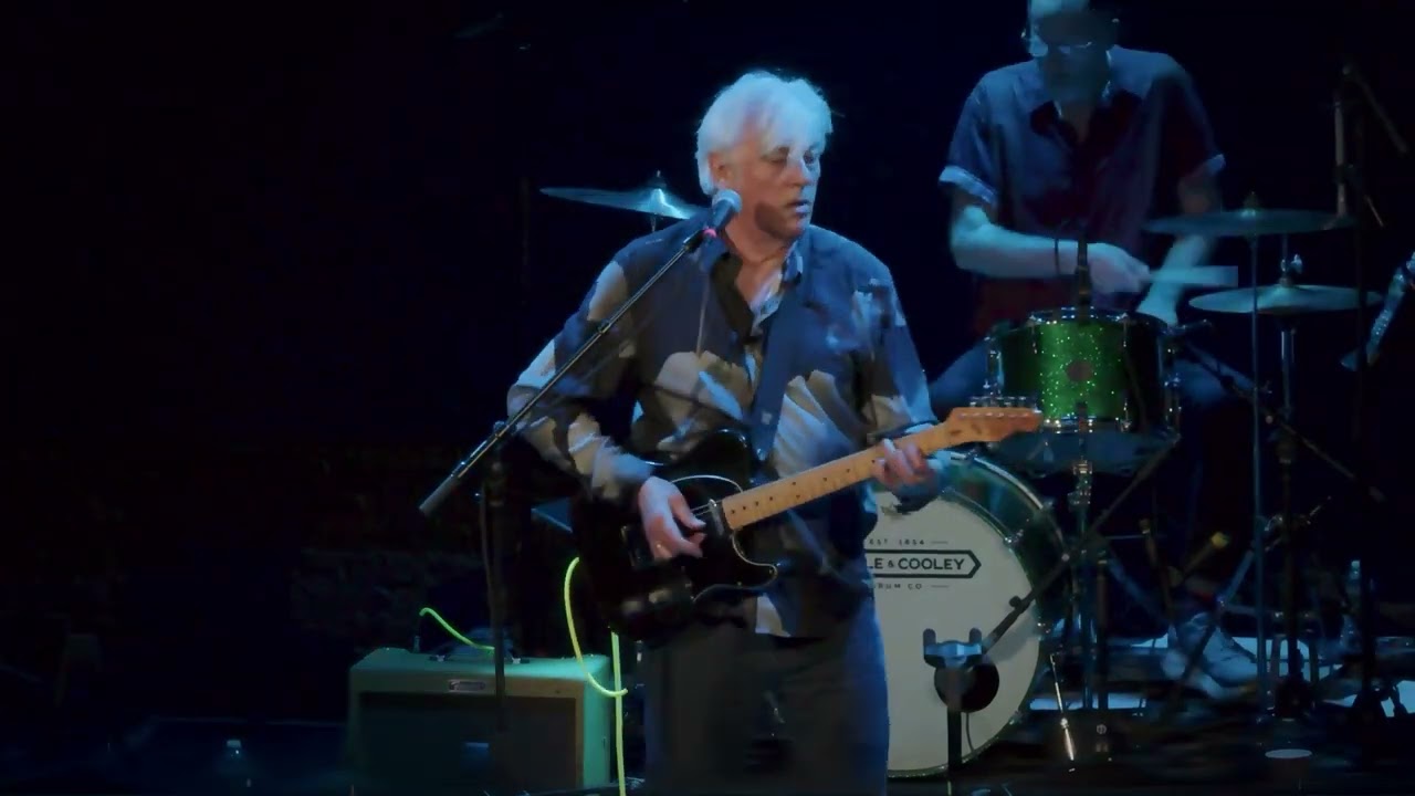 Robyn Hitchcock - 
