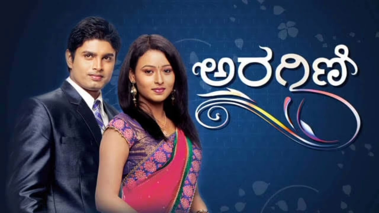 aragini Kannada tv serial bgm