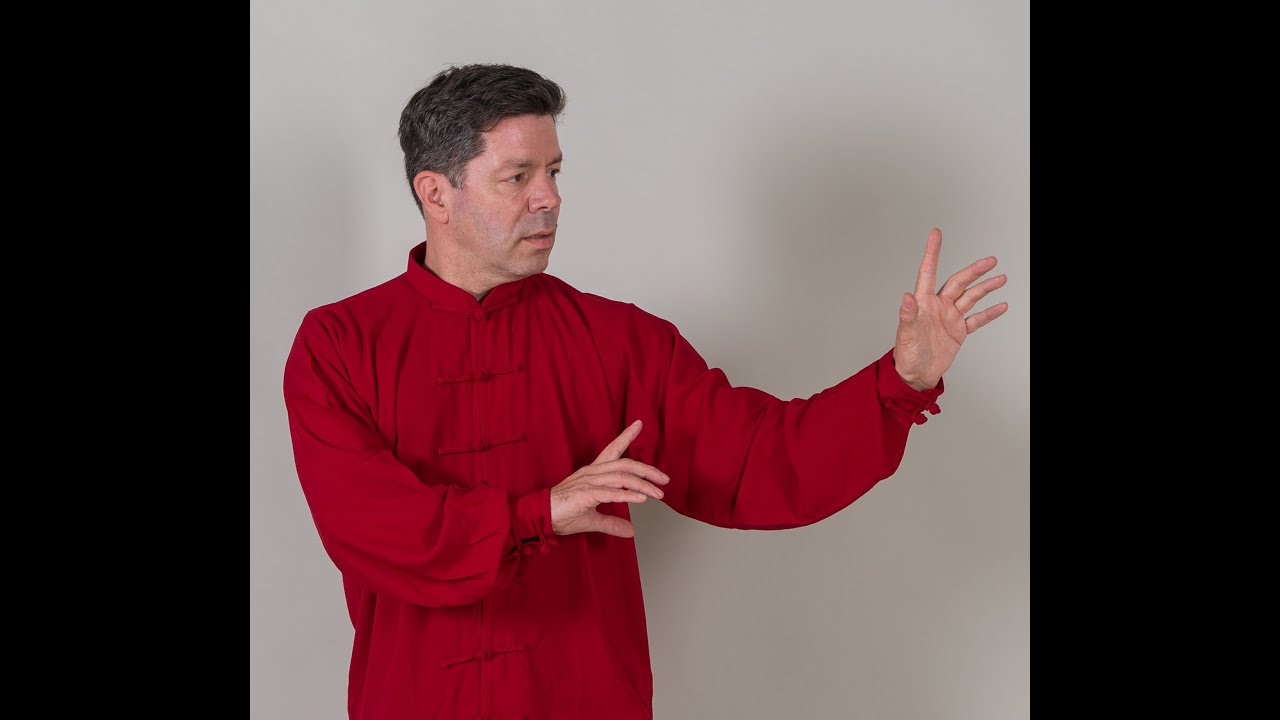 Online Tai Chi Lernen mit Jan Leminsky Teil 2