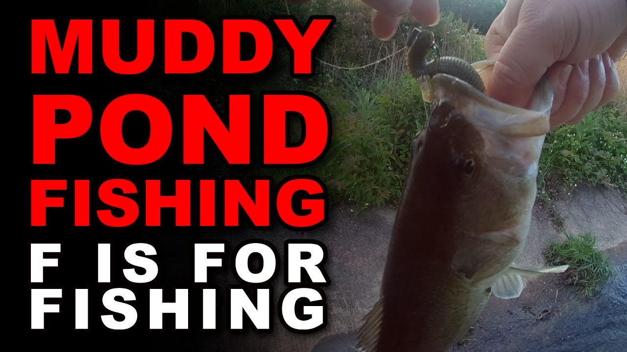 Muddy Pond Fishing