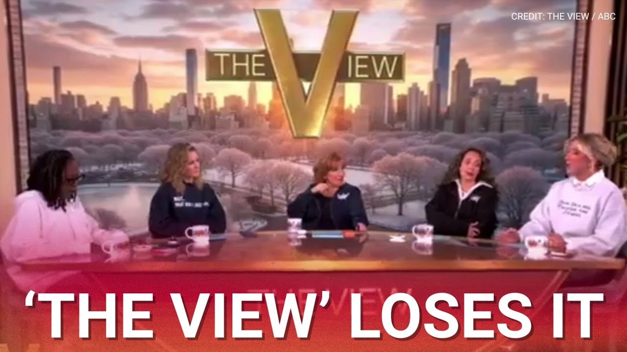 ‘The View’ loses it at guest defending Donald Trump against racism attacks