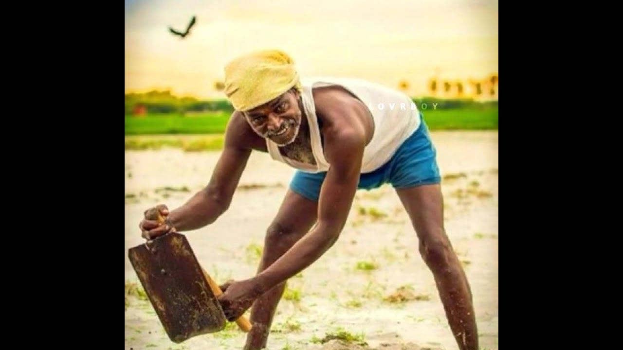 Farmers WhatsApp status tamil || Vivasayam WhatsApp status tamil || Former day || Save formers ||