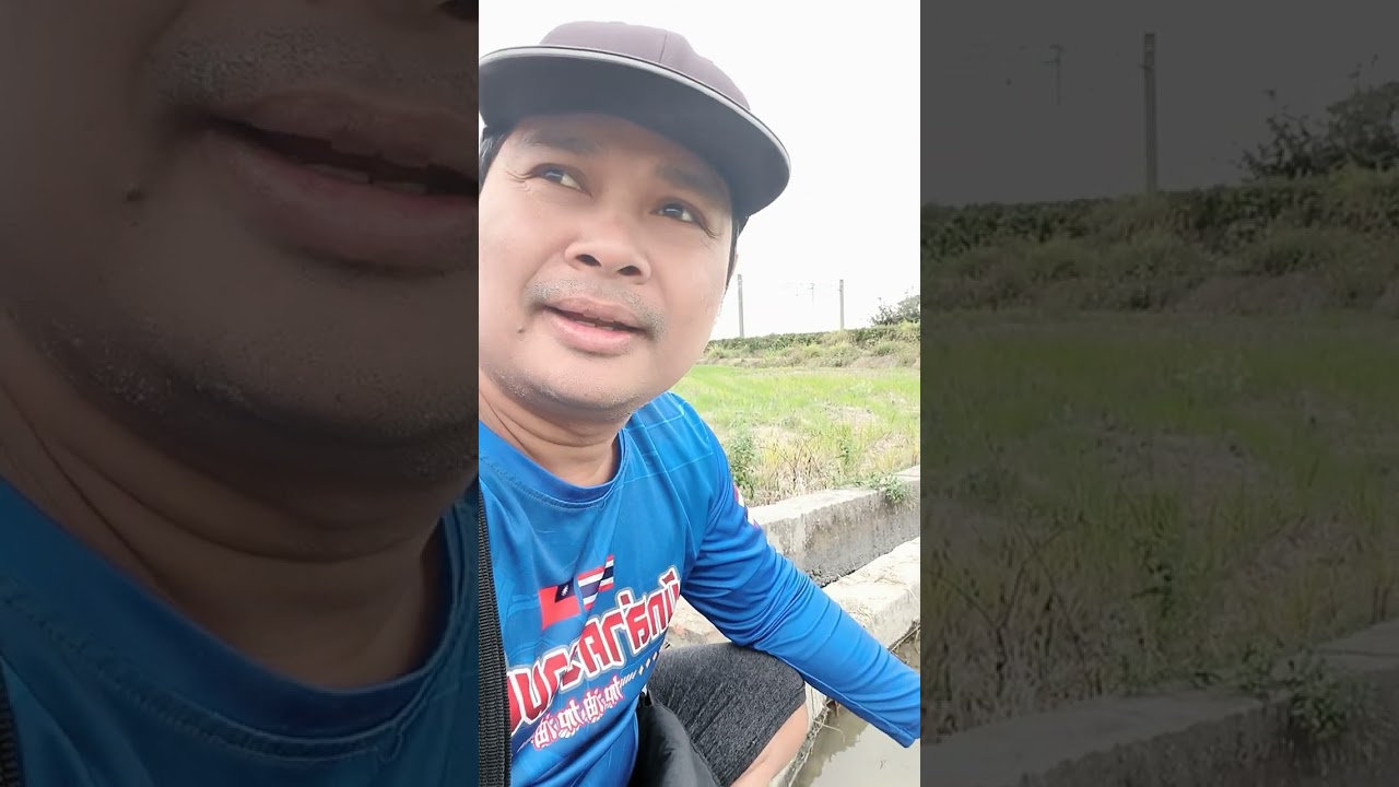  #วิถีชาวนาต่างประเทศไต้หวันครับ #เกษตรกร  #ชาวนา #บ่าวSuree Channel 