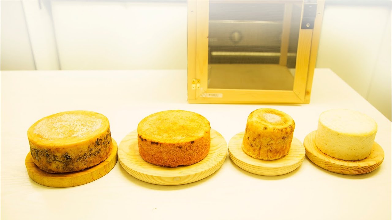 Cómo Conservar y madurar quesos caseros fácilmente.