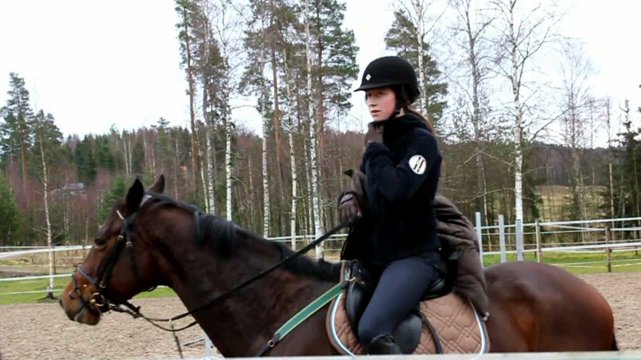 Videopostaus