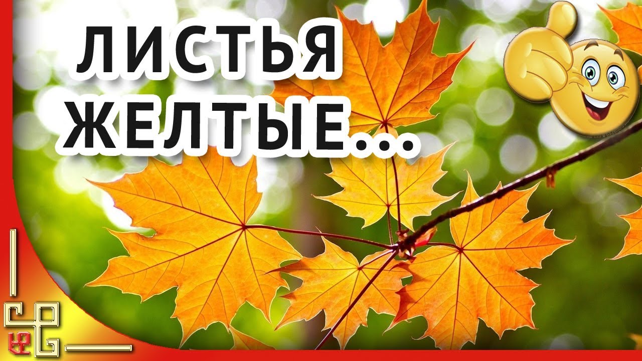 Листья желтые над городом кружатся. Музыка СССР