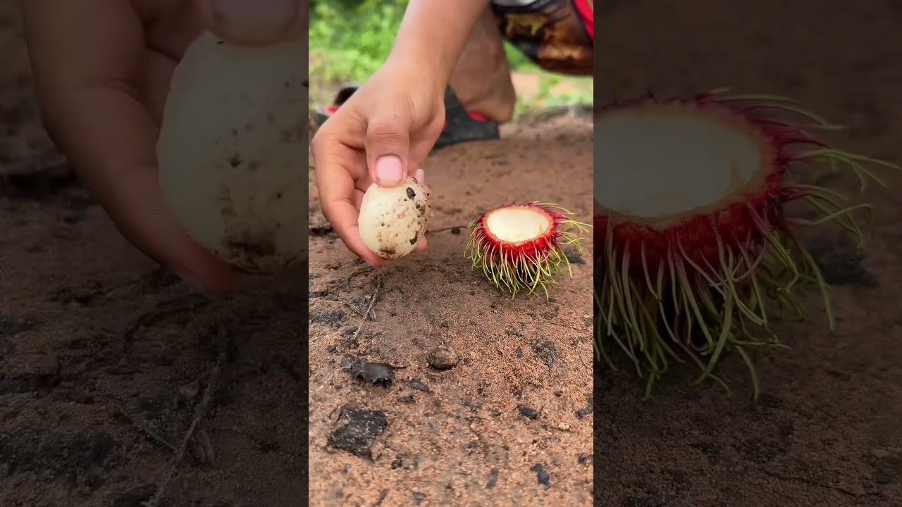 Survival Skills: SMART idea and USEFUL in Forest 
