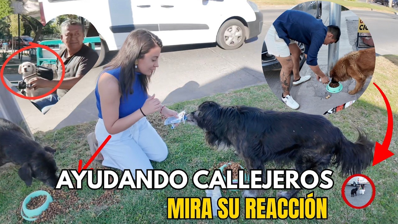 En 10 minutos contaremos la verdad sobre ALIMENTAR PERRITOS QUE VIVEN  EN LA CALLE 🐶 Parte 1🐶 🐾