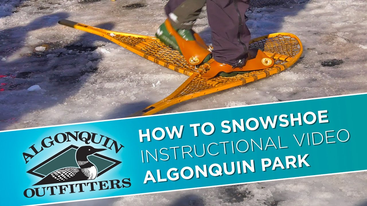 Learn how to snowshoe at the Algonquin Park Winter in the Wild Festival