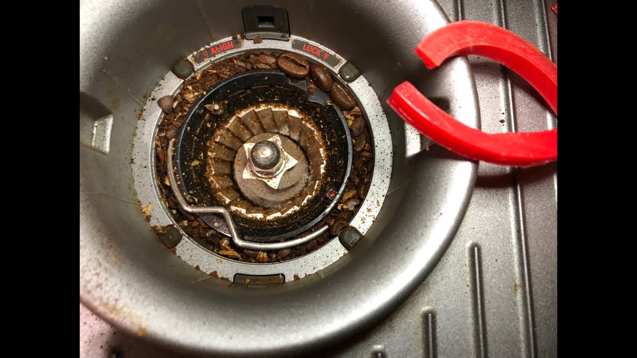 How to Clean Grinder | No more mess | Breville Barista Express Grinder Seal Ring